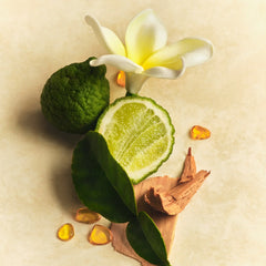 Hair & Body Mist N0